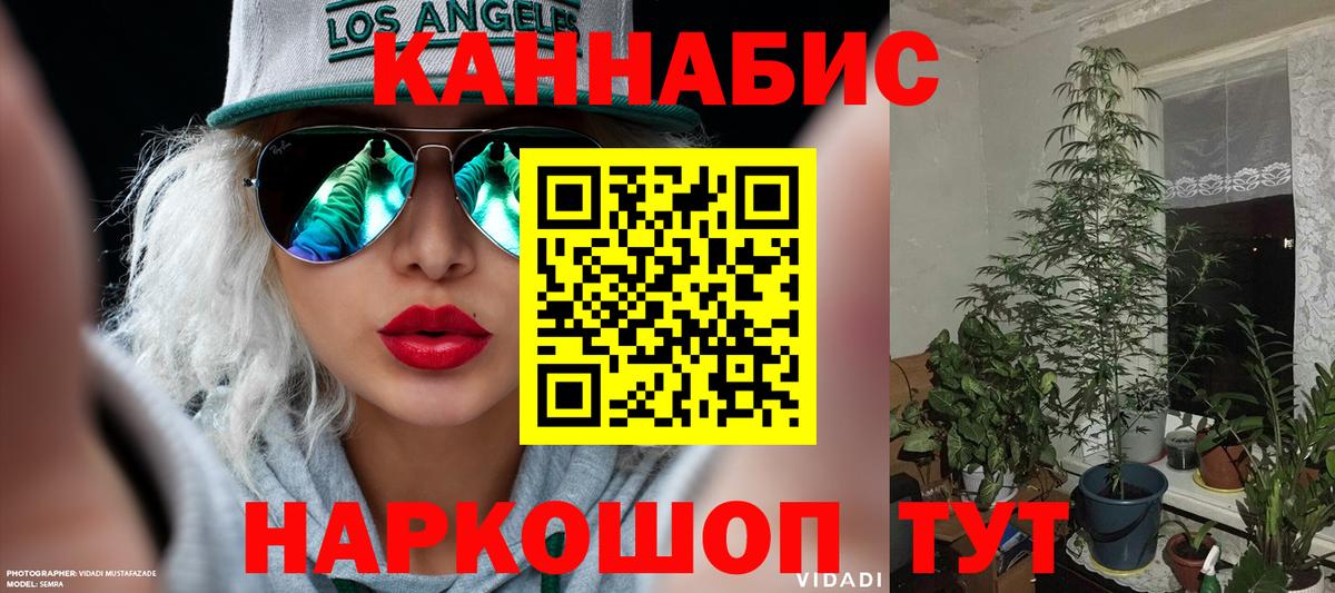 Конопля White Widow Тайшет